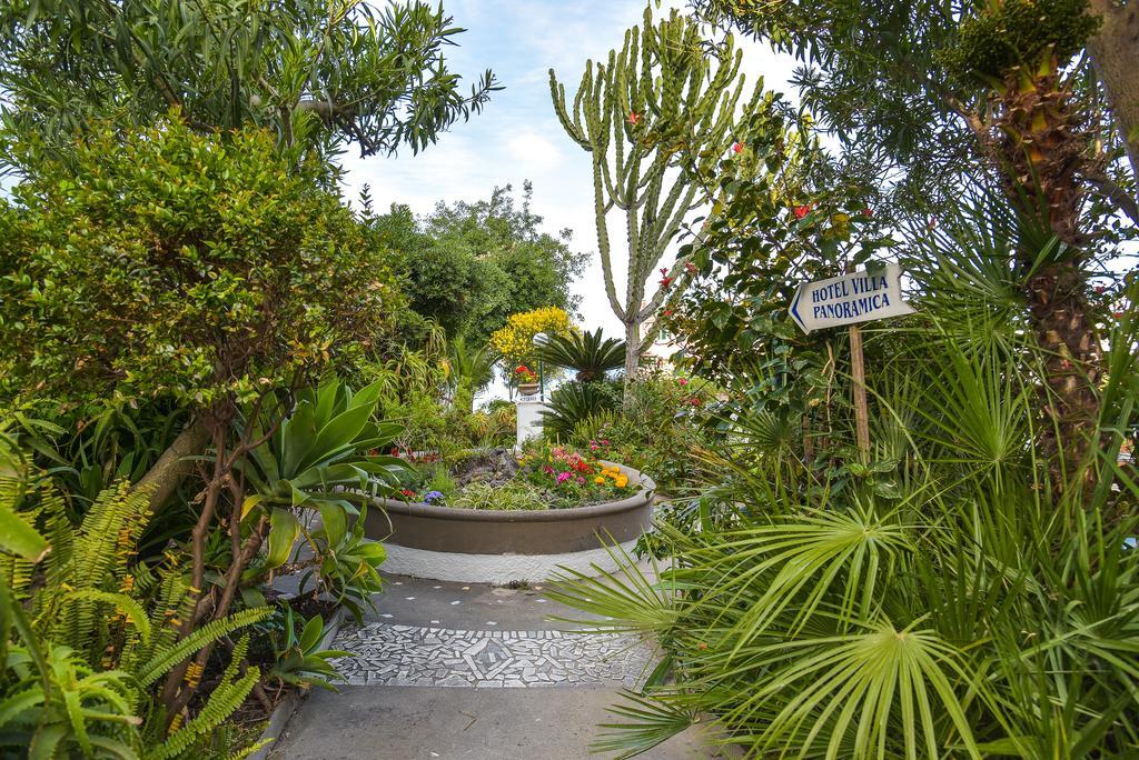 Villa Panoramica - Ischia Ponte Экстерьер фото