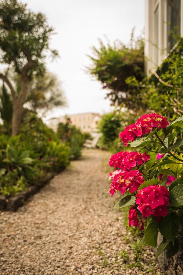 Villa Panoramica - Ischia Ponte Экстерьер фото